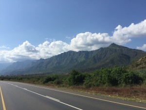 IMG_3492